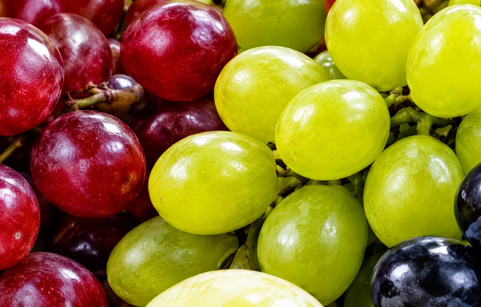 A close view of a mixed grape cluster