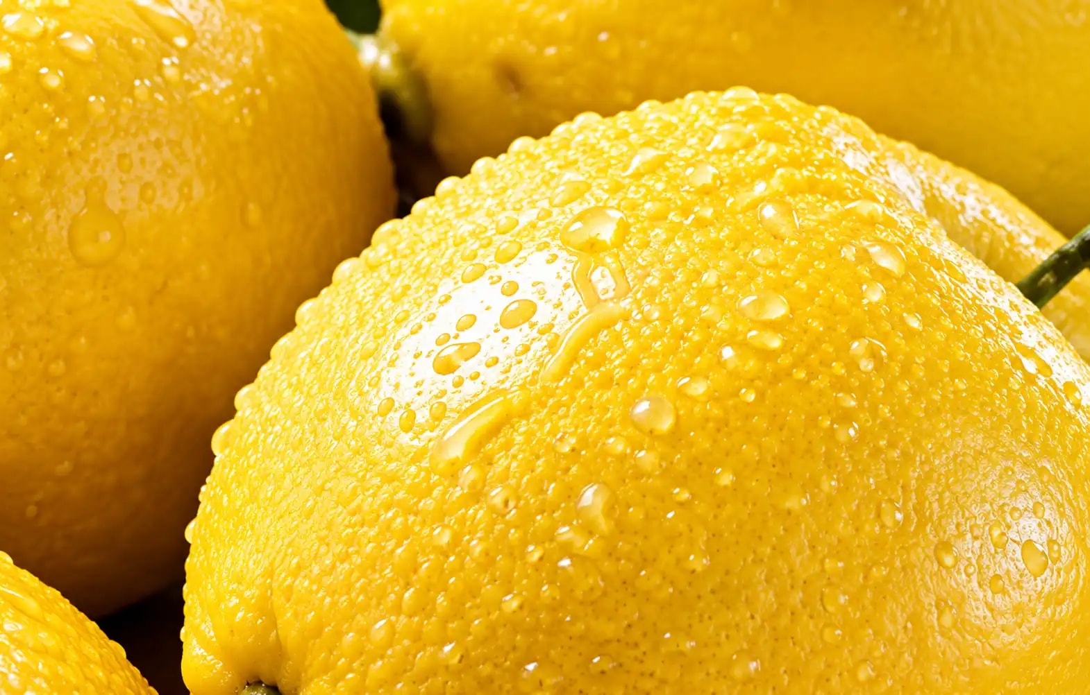 Close-up of dewy golden yellow fruit