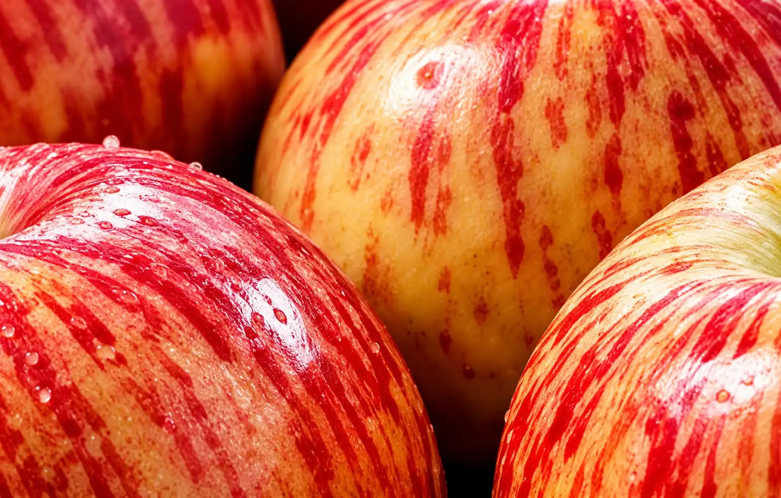 Close-up of glossy red striped apples